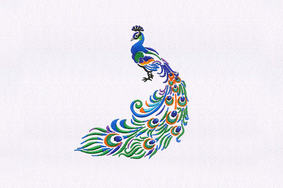 Indian Peacock: A Designer’s Review for Gifts