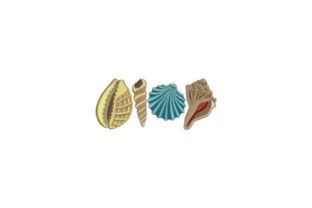 Seashells: A Designer Review for Business Merch